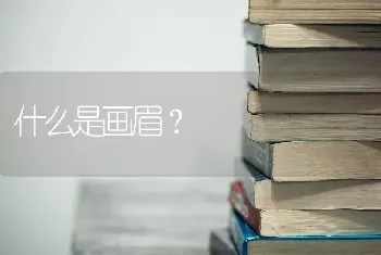 什么是画眉？