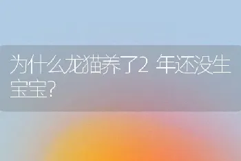 为什么龙猫养了2年还没生宝宝？