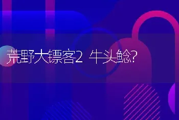 荒野大镖客2牛头鲶？