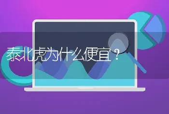 泰北虎为什么便宜？