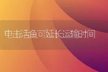 非留种鹌鹑的快速育肥方法