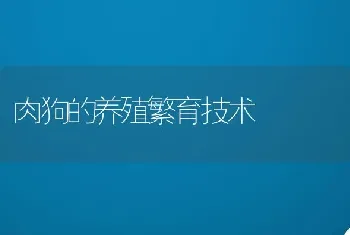 肉狗的养殖繁育技术