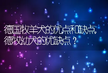 德国牧羊犬的优点和缺点，德牧幼犬的优缺点？