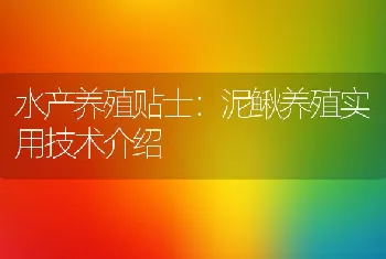 泥鳅养殖实用技术介绍