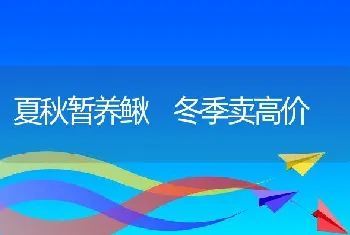 夏秋暂养鳅冬季卖高价