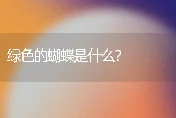 绿色的蝴蝶是什么？