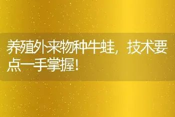 养殖外来物种牛蛙，技术要点一手掌握！