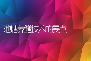 池塘养鳝技术的要点