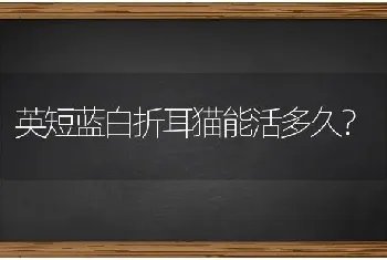 英短蓝白折耳猫能活多久？