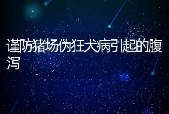 谨防猪场伪狂犬病引起的腹泻