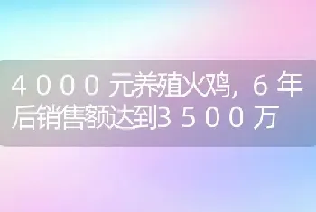 4000元养殖火鸡，6年后销售额达到3500万