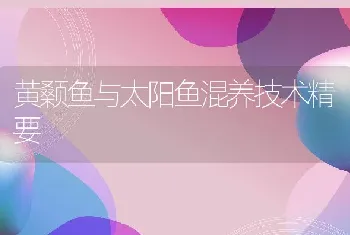 黄颡鱼与太阳鱼混养技术精要