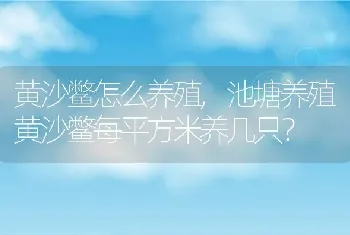 黄沙鳖怎么养殖,池塘养殖黄沙鳖每平方米养几只？