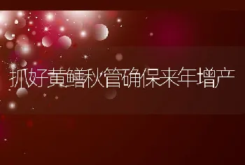 抓好黄鳝秋管确保来年增产