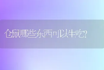 仓鼠哪些东西可以生吃？