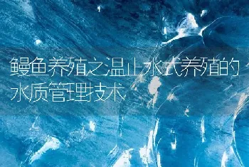 鳗鱼养殖之温止水式养殖的水质管理技术