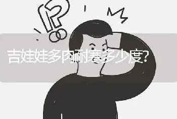 吉娃娃多肉耐寒多少度？