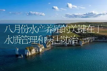 八月份水产养殖的关键在于水质管理和病害防治