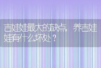 吉娃娃最大的缺点，养吉娃娃有什么坏处？