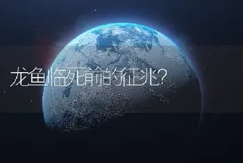 龙鱼临死前的征兆？