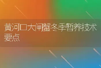 黄河口大闸蟹冬季暂养技术要点