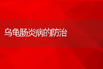 鳜鱼养殖之病害防治技术