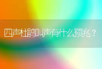 四声杜鹃叫声有什么预兆？