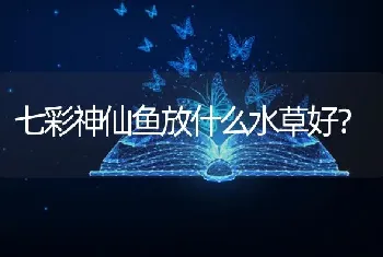 七彩神仙鱼放什么水草好？