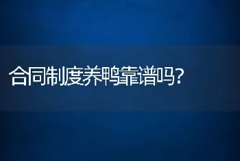 合同制度养鸭靠谱吗？