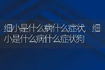 细小是什么病什么症状，细小是什么病什么症状狗