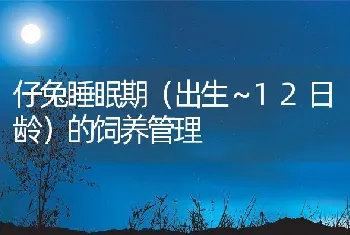 仔兔睡眠期（出生～12日龄）的饲养管理