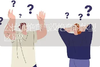 公比熊绝育与没绝育的体型区别？