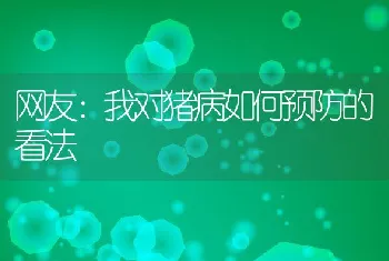 网友：我对猪病如何预防的看法