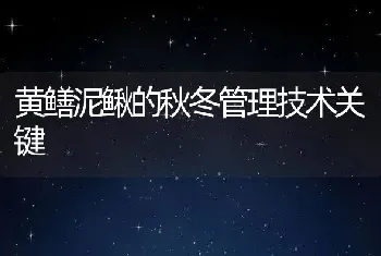 黄鳝泥鳅的秋冬管理技术关键