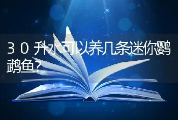 30升水可以养几条迷你鹦鹉鱼？