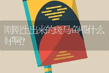 绿金面鹦鹉特点？