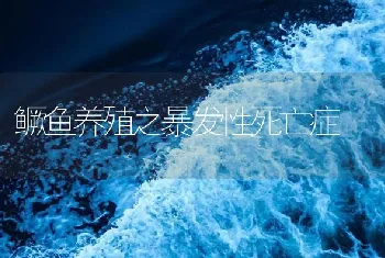 鳜鱼养殖之暴发性死亡症