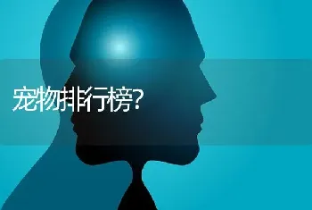 宠物排行榜？