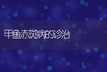 鹧鸪育雏的喂料要点简介