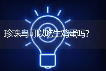 珍珠鸟可以吃生鸡蛋吗？