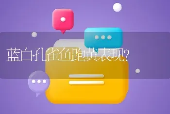 蓝白孔雀鱼跑黄表现？