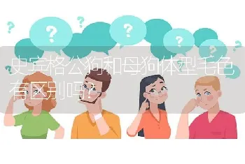 史宾格公狗和母狗体型毛色有区别吗？