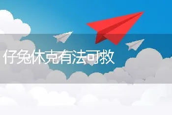 仔兔休克有法可救