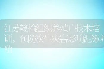 江苏赣榆组织养殖户技术培训，预防次生灾害影响泥鳅养殖