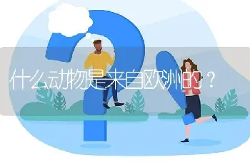 什么动物是来自欧洲的？