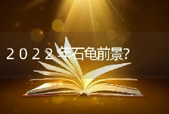 2022年石龟前景？