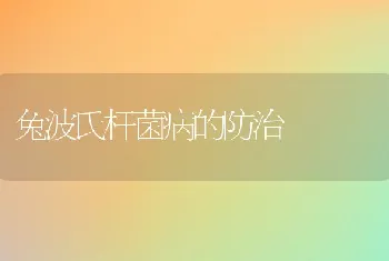 兔波氏杆菌病的防治