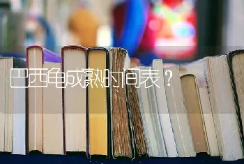 巴西龟成熟时间表？