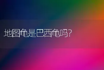 地图龟是巴西龟吗？