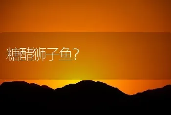 糖醋狮子鱼？